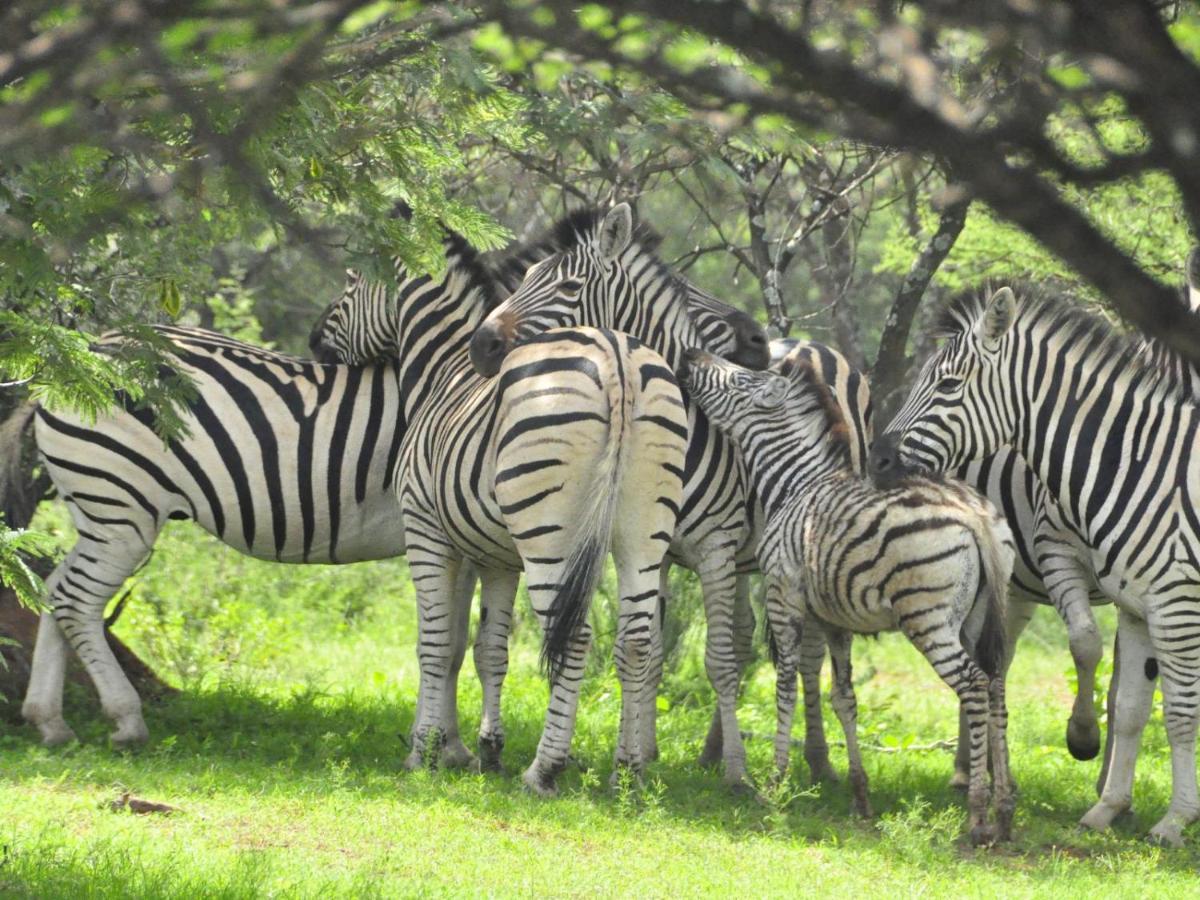Kwalata Game Lodge Klipdrift 外观 照片